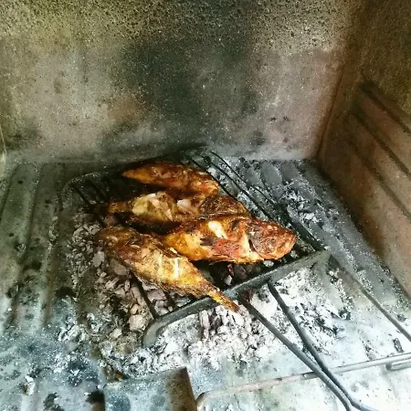 דירה Milojka פריזבה